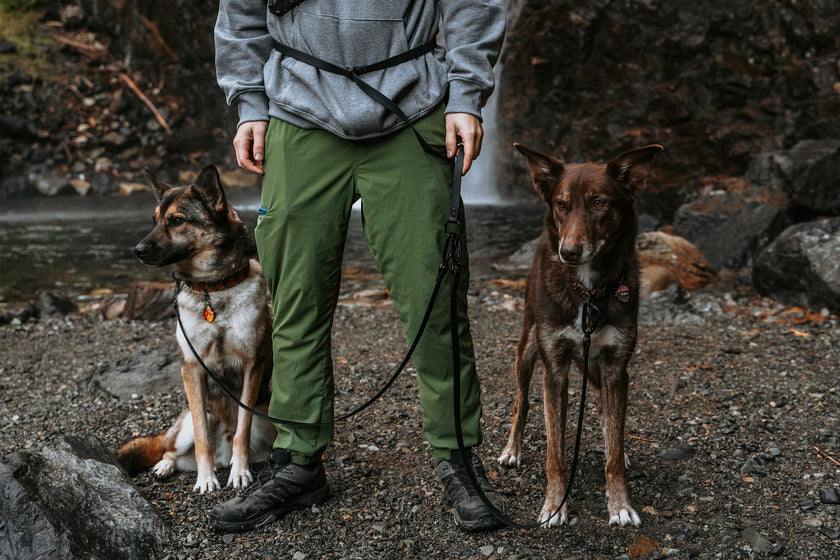 Parade • multi-dog sectional leash