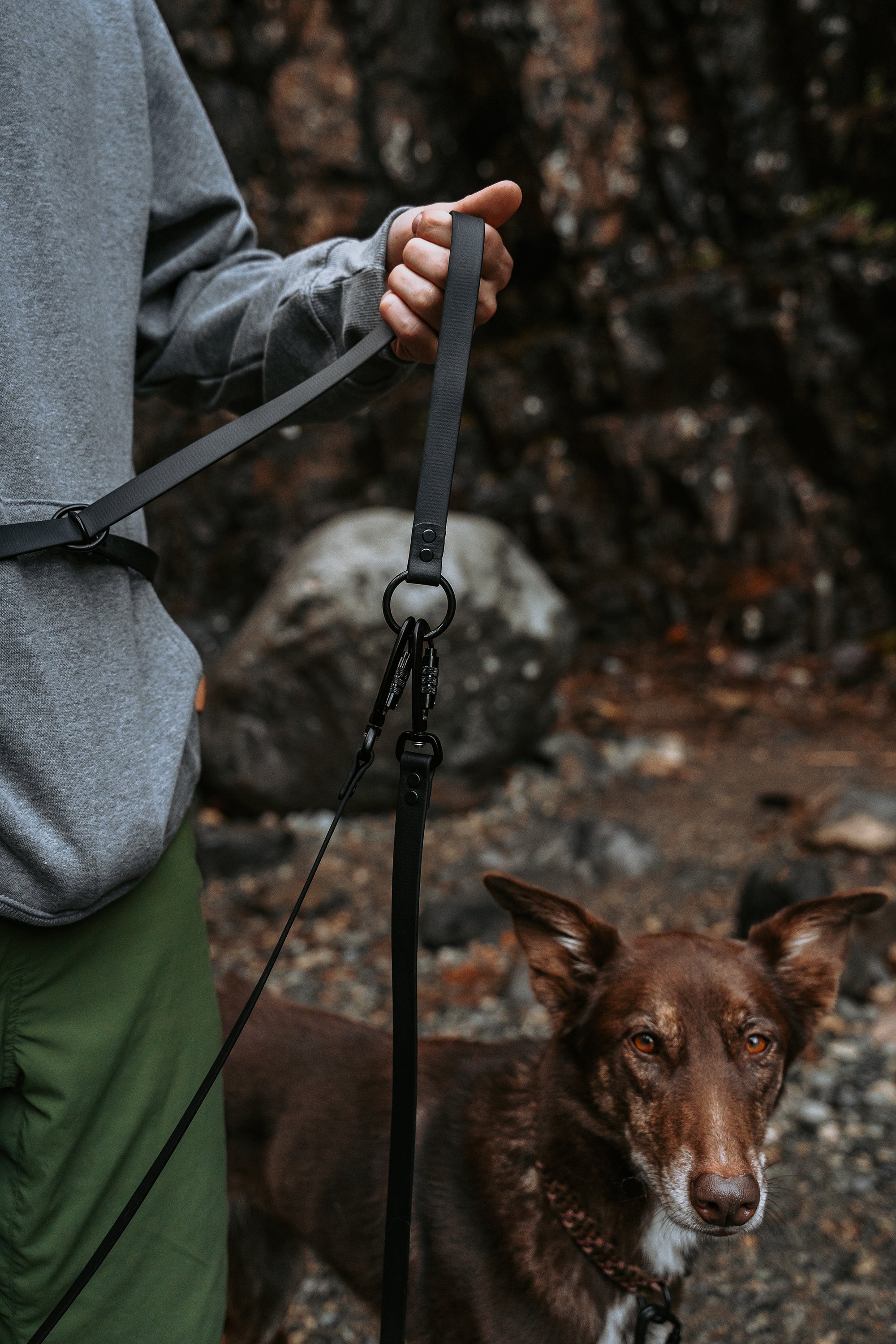 Parade • multi-dog sectional leash