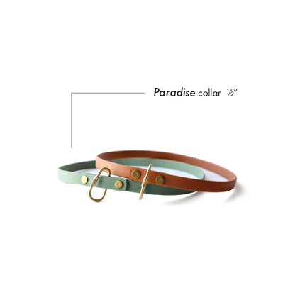 Paradise • house collar