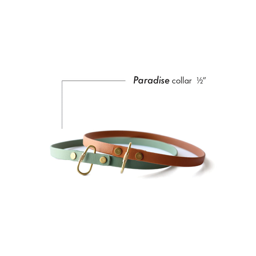 Paradise • house collar