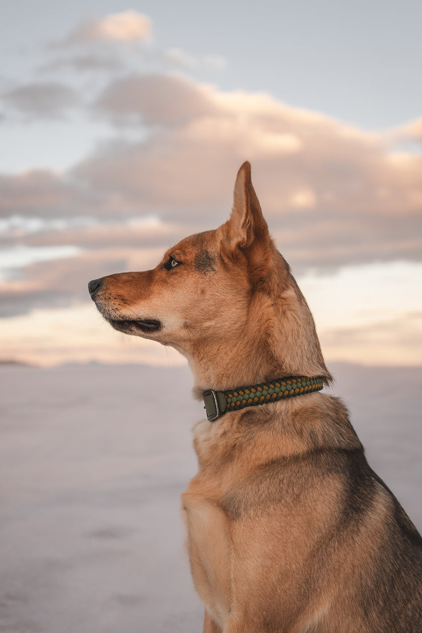 FLEX · adjustable length collars
