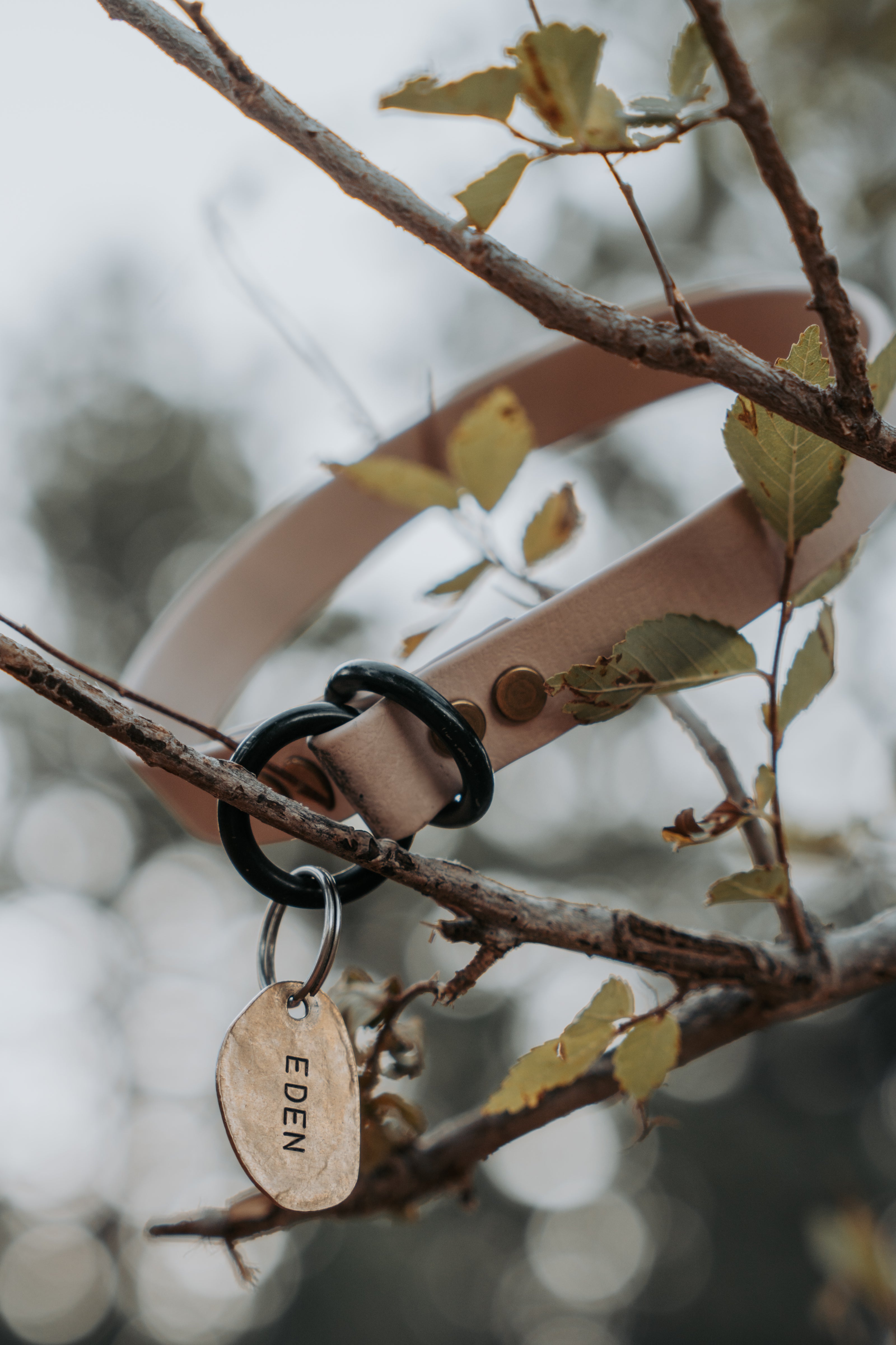 Paraglide • slip collar