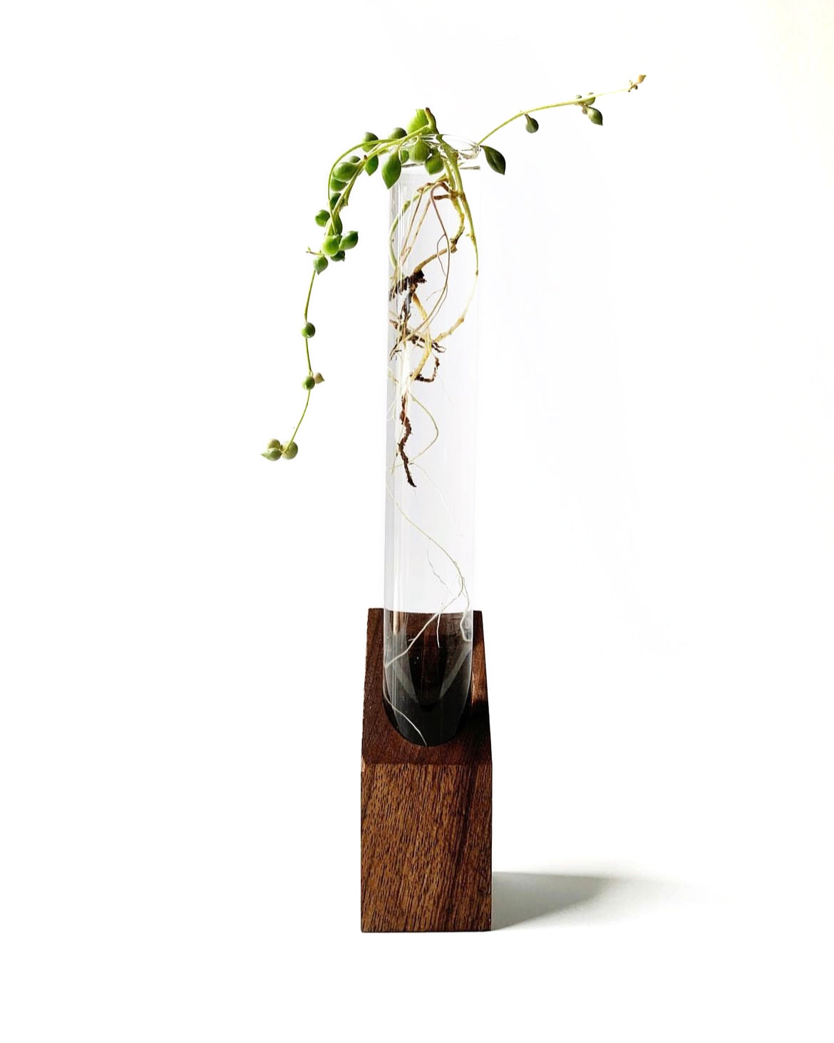 GROW • propagation station / bud vase