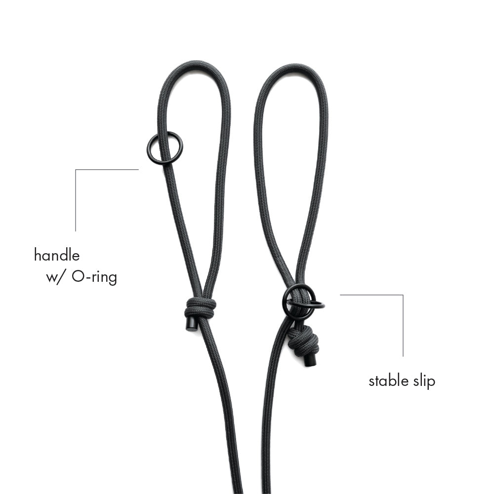 SLIP · training lead