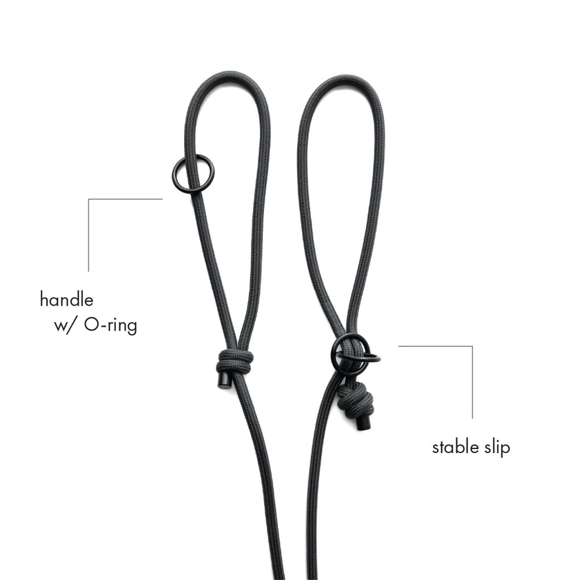 SLIP · training lead