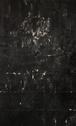 The Karamazovs - various works