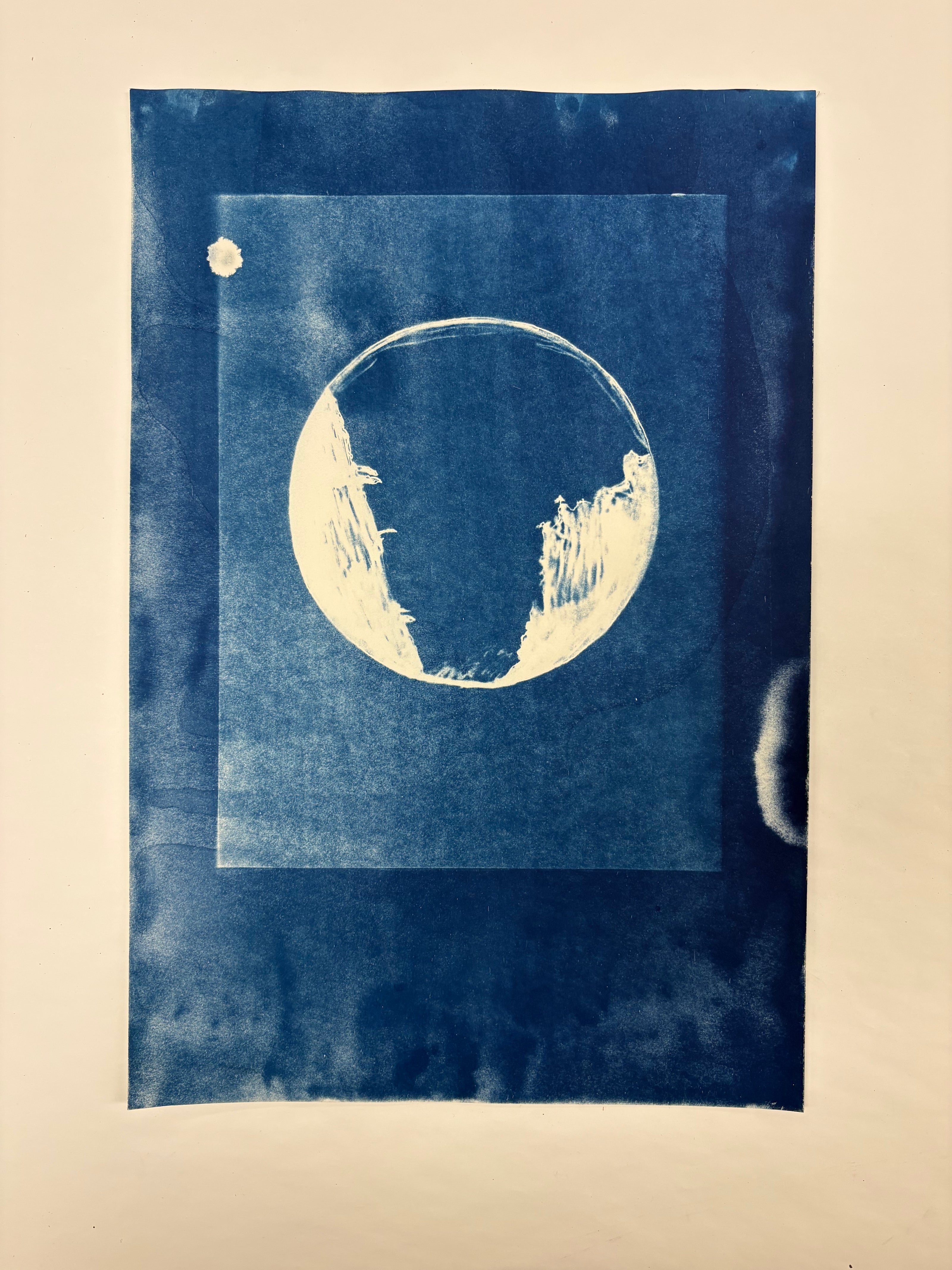 Cyanotypes - various works