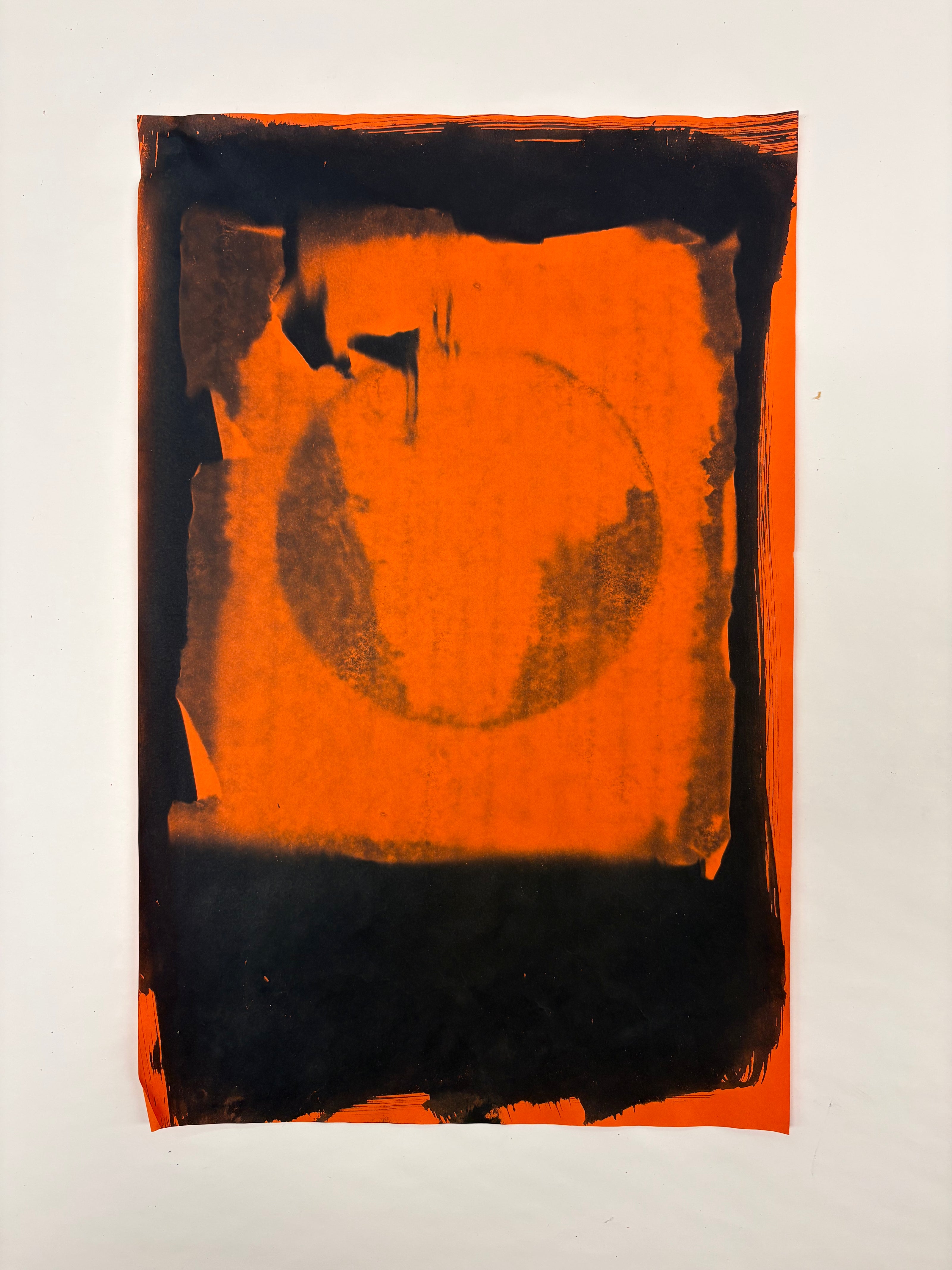 Cyanotypes - various works