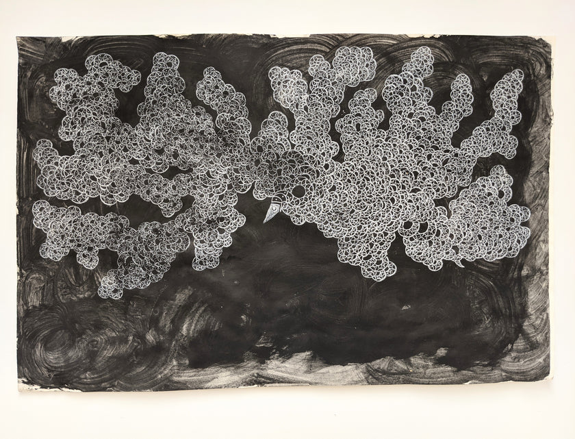 Serpent Drawings N.1 - N.12 and various other works