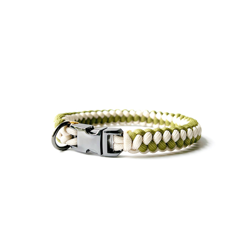 MINI · custom collar