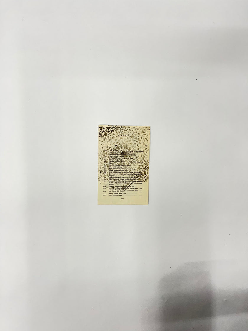 Book Page Drawings - various works