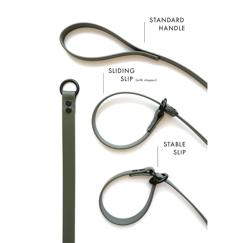 Paragon · leash