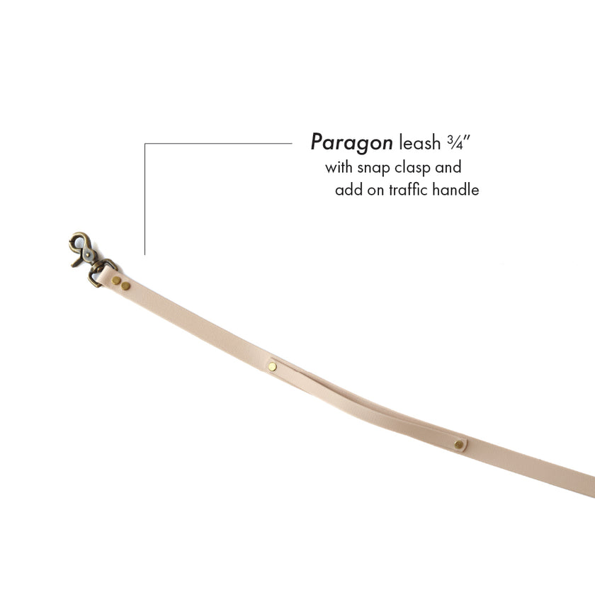 Paragon · leash