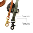 Paragon · leash