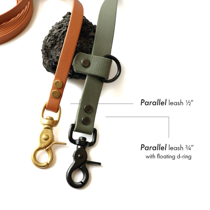 Paragon · leash