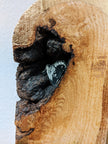 Things I Took From A Church On Fire: N 20 