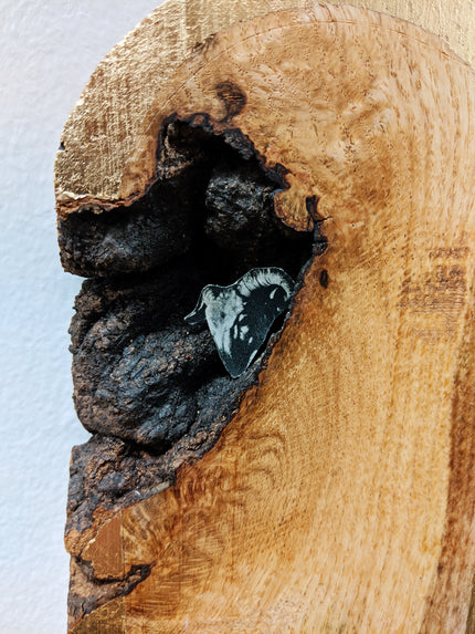 Things I Took From A Church On Fire: N 20 