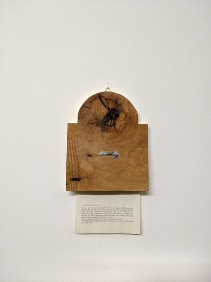 Things I Took From A Church On Fire: N 24 