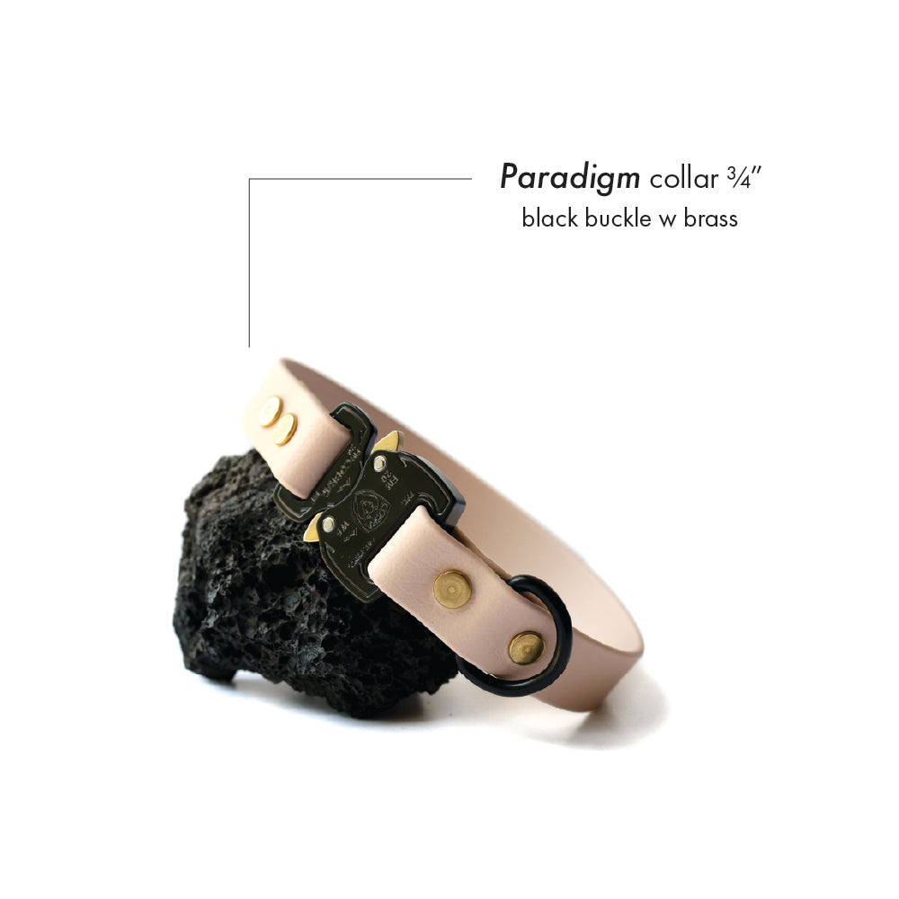 Paradigm • flat collar