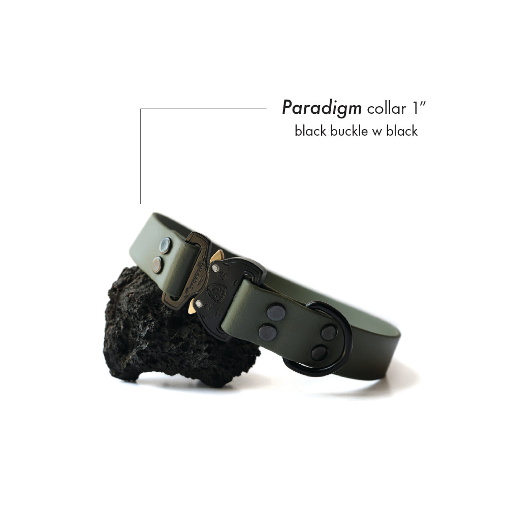 Paradigm • flat collar