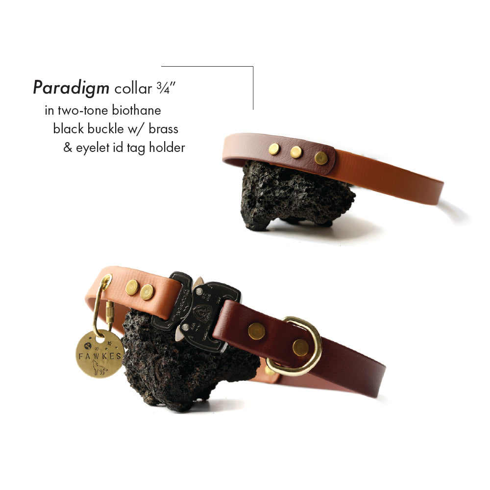 Paradigm • flat collar