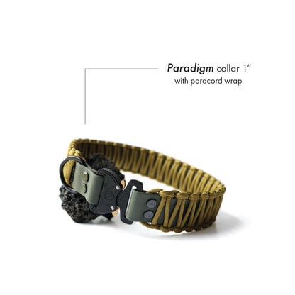 Paradigm • flat collar