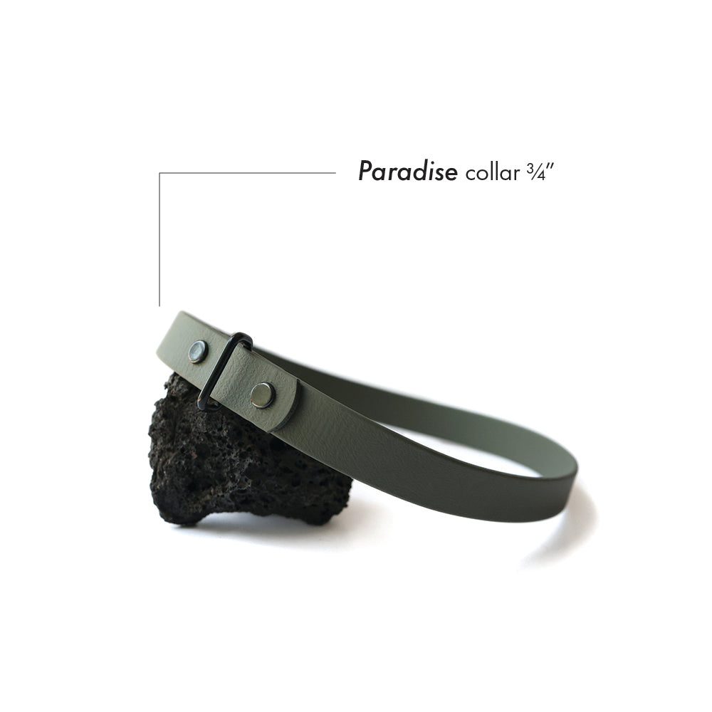 Paradise • house collar