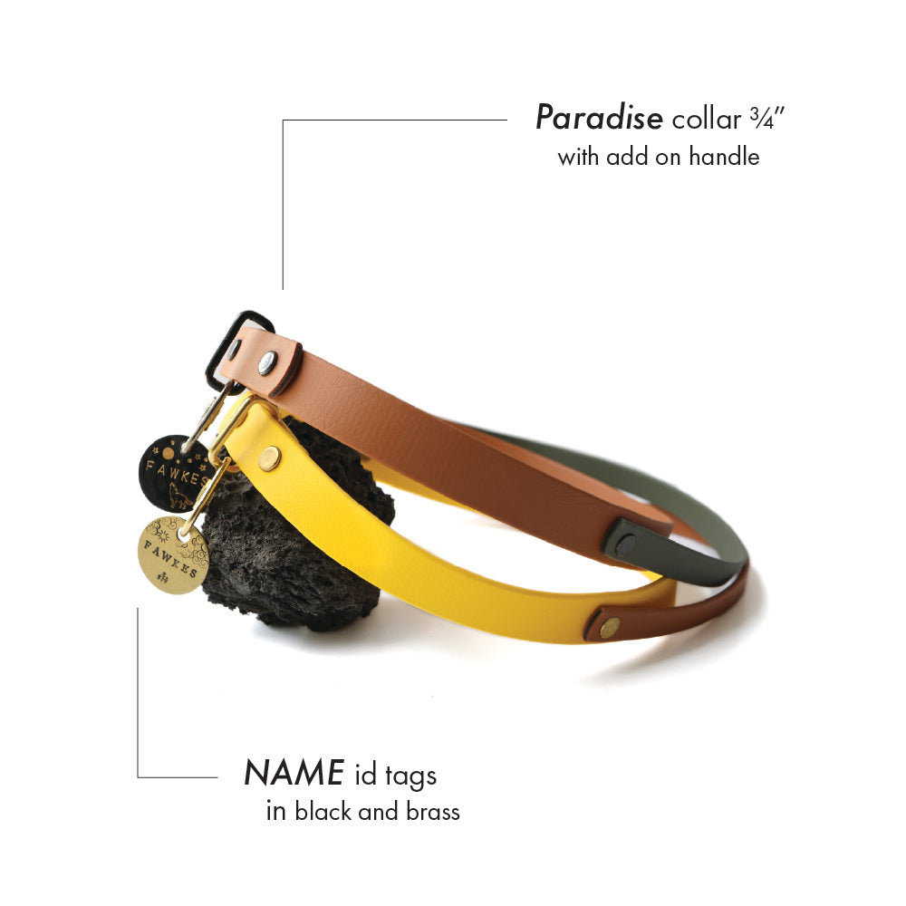 Paradise • house collar
