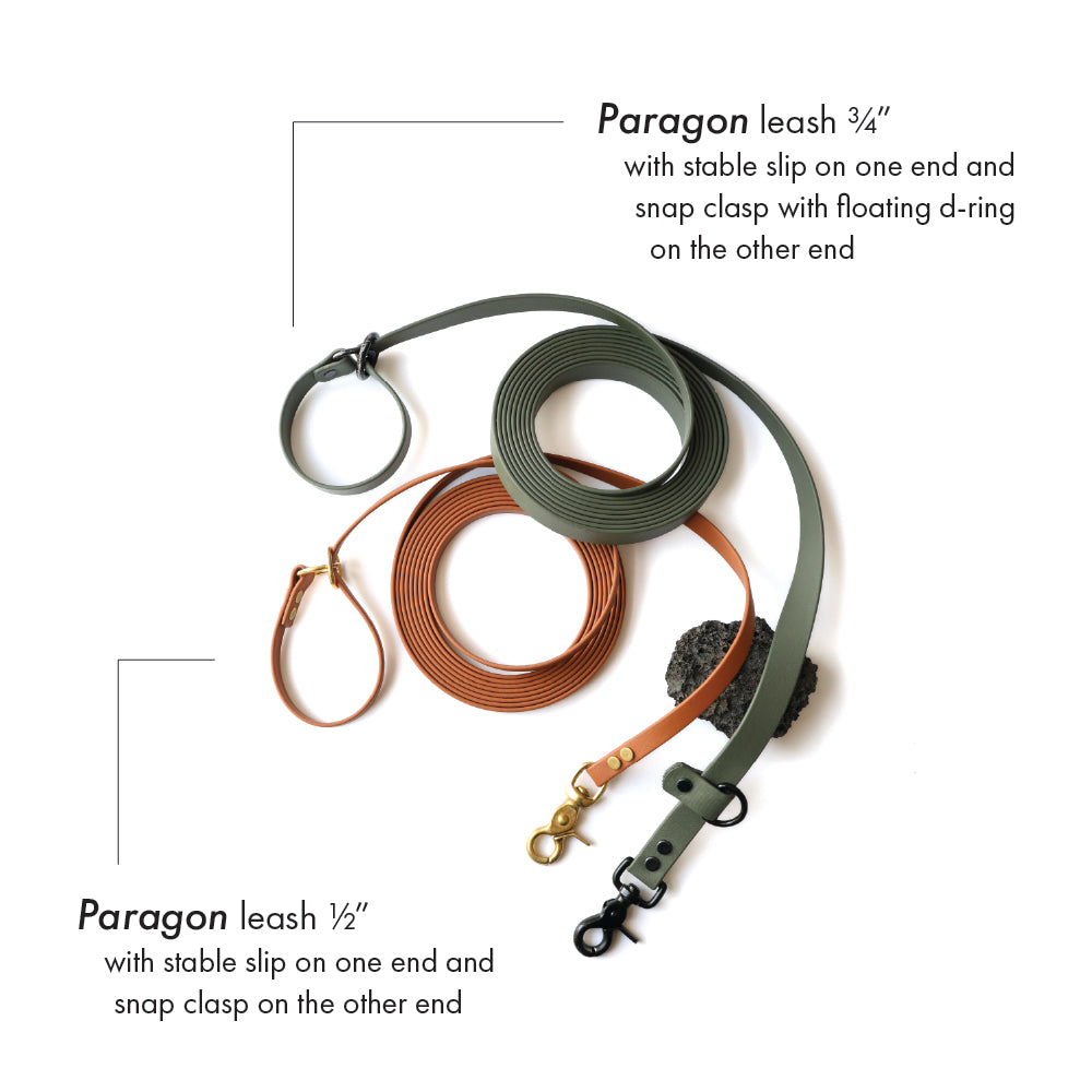 Paragon · leash