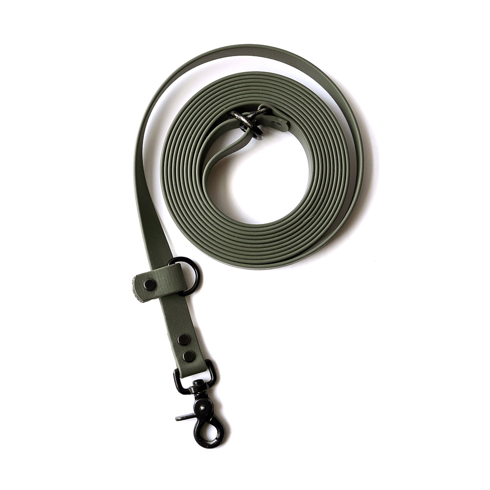 Paragon · leash