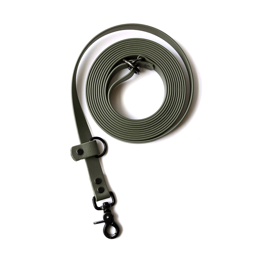 Paragon · leash