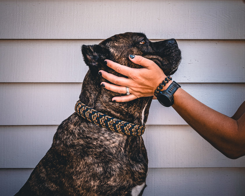 PAIR • bracelet